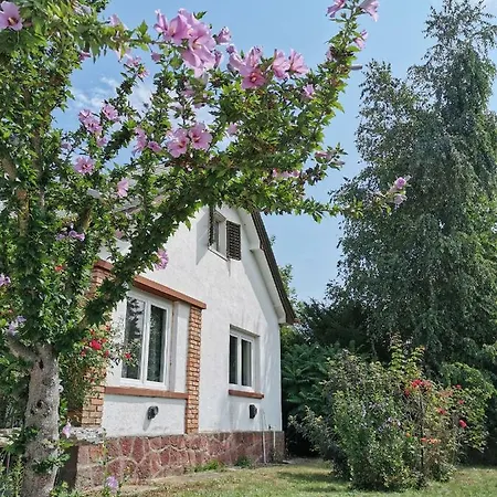 Villa Vonyarc Vonyarcvashegy Exterior photo